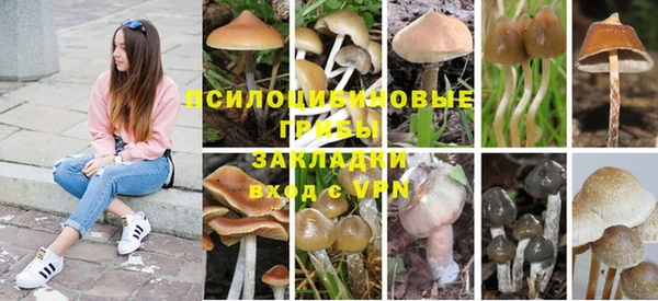 скорость Алзамай